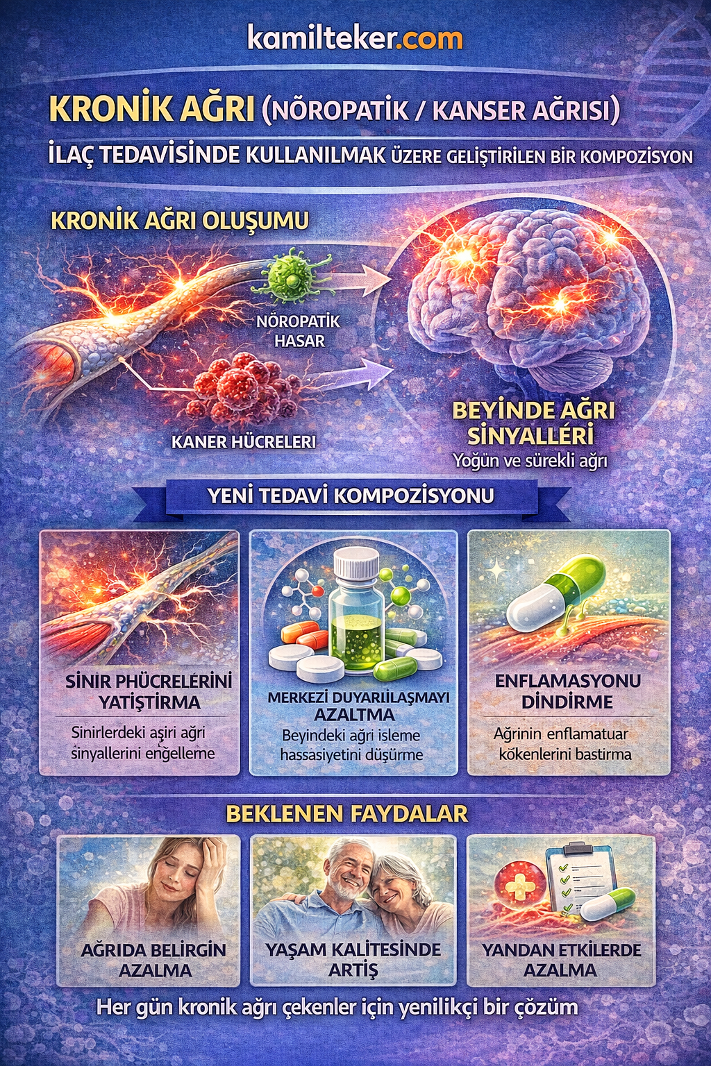 KRONİK AĞRI (NÖROPATİK / KANSER AĞRISI) İLAÇ TEDAVİSİNDE KULLANILMAK ÜZERE GELİŞTİRİLEN BİR KOMPOZİSYON