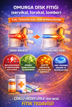 OMURGA DİSK FITIĞI (servikal, torakal, lomber) HASTALIĞININ İLAÇ TEDAVİSİNDE KULLANILMAK ÜZERE GELİŞTİRİLMİŞ BİR KOMPOZİSYON