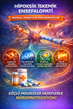 HİPOKSİK İSKEMİK ENSEFALOPATİ MEDİKAL TEDAVİSİNDE KULLANILMAK ÜZERE GELİŞTİRİLEN BİR KOMPOZİSYON