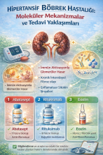 Hipertansif Böbrek Hastalığı: Moleküler Mekanizmalar ve Tedavi Yaklaşımları