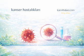 HODGKİN LENFOMA, NON-HODGKİN LENFOMA VE MULTİPLE MİYELOM  KANSERİ İLAÇ TEDAVİSİNDE KULLANILMAK ÜZERE GELİŞTİRİLEN BİR KOMPOZİSYON